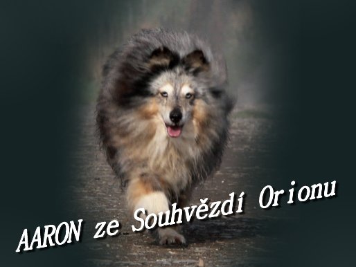 fotomon_chov_aaron_ze_souhvezdi_orinu – kopie