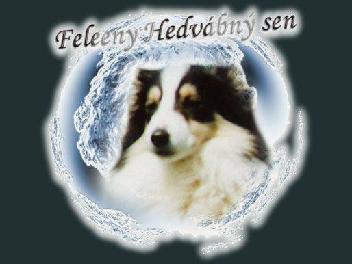 fotomon_chov_feleeny_hedvabny_sen.jpg