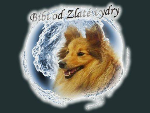 fotomon_chov_bibi_od_zlate_vydry.jpg