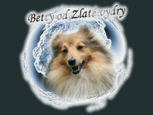 fotomon_chov_betty_od_zlate_vydry.jpg